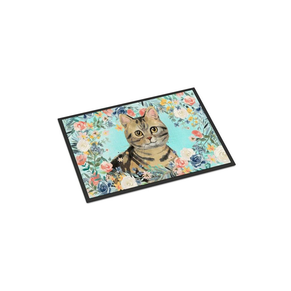 24 x 36 in. American Shorthair Brown Tabby Spring Flowers Indoor or Outdoor Mat-image-OPC-PB797N9-NEW