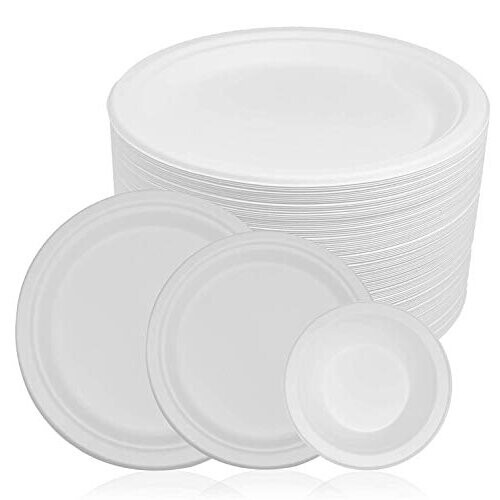 Paper Plates for Craft The 100 Biodegradable Eco Friendly Compostable
