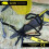 BearTOOLS Safety Lanyard, 90cm, Spring Lock, Black 1 Pack 4