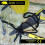 BearTOOLS Safety Lanyard, 90cm, Spring Lock, Black 3 Pack 4