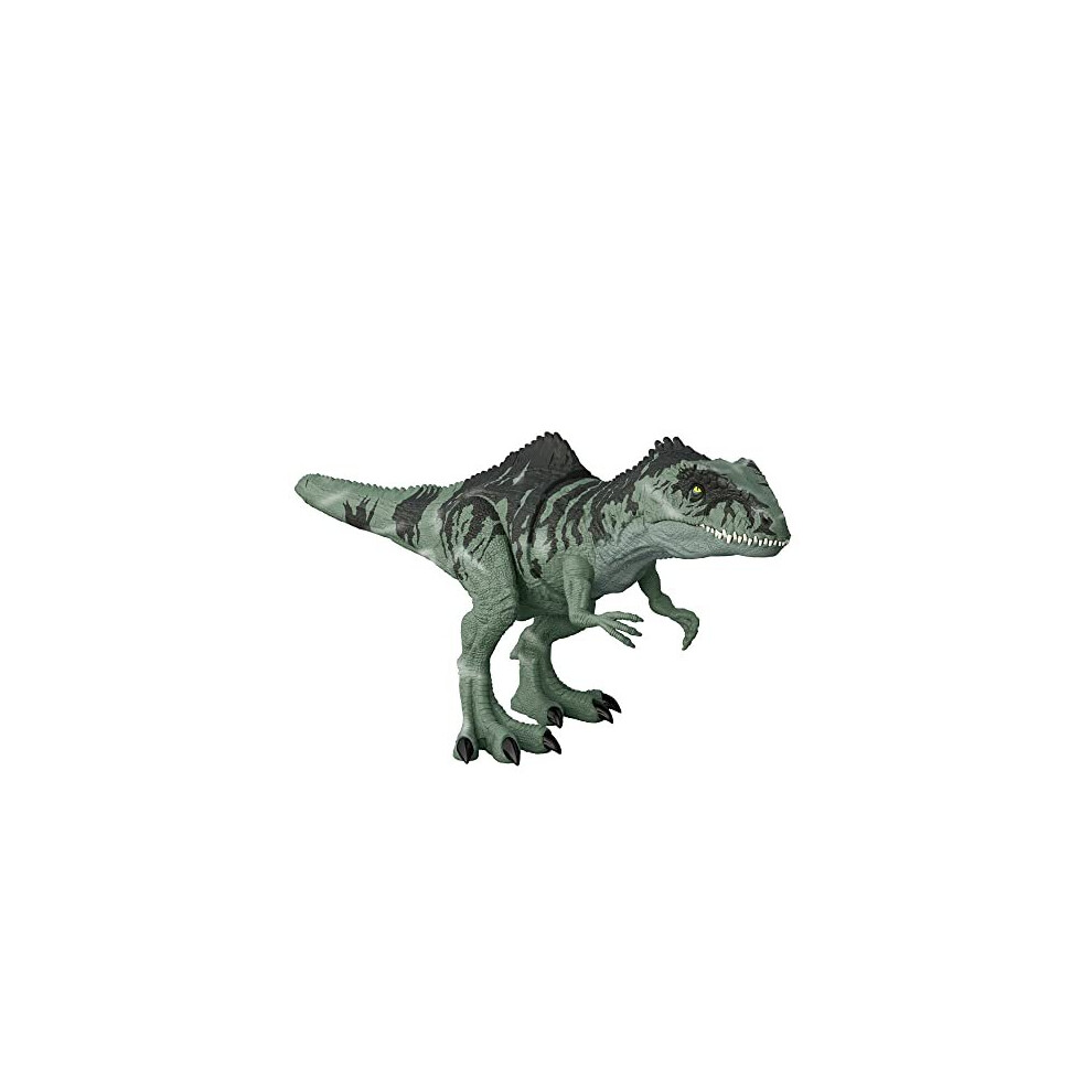 Jurassic World Dominion Dinosaur Toy, Strike N Roar Giganotosaurus, Action Figure with Striking Motion and Sounds, GYW86