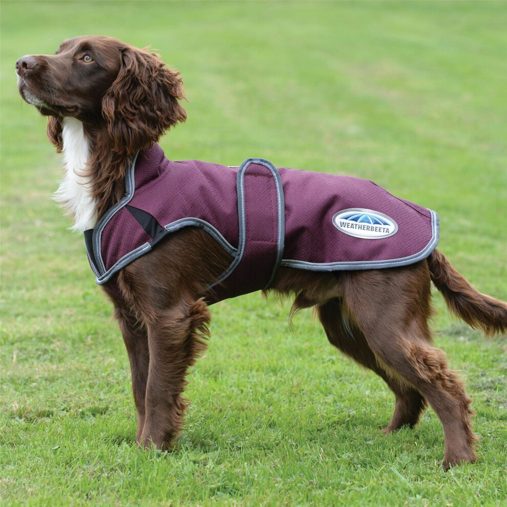 (Maroon/Grey/White, 25Cm) Weatherbeeta Comfitec Premier Free Parka Deluxe Dog Coat Medium