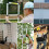 5M Heavy-Duty Portable Telescopic Aluminium Ladder - Multi-Purpose, Extendable, Lightweight & Compact 8