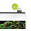 Juwel Juwel Aquarium Digital Thermometer 3.0, Black, Transparent 4