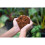 2 Coco Peat Bricks Block 5L Coconut Potting Fibre 5