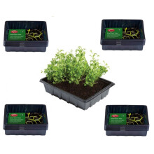 40 Small Seed Trays Plastic Seeding Starter Tray Reusable 21.5 x 17cm