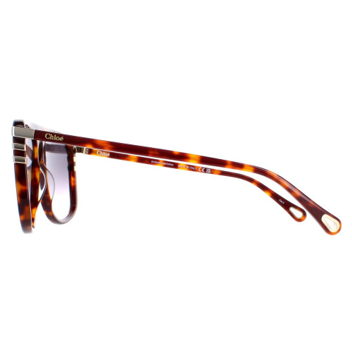 Chloe Chloe Sunglasses CH0104S 007 Shiny Medium Havana  Grey Gradient 2