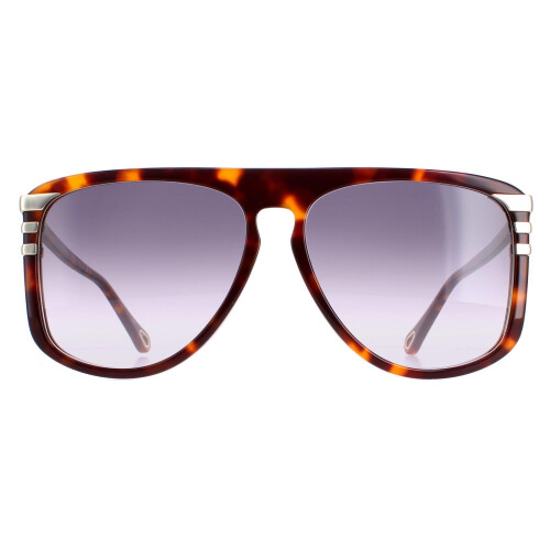 Chloe Chloe Sunglasses CH0104S 007 Shiny Medium Havana  Grey Gradient
