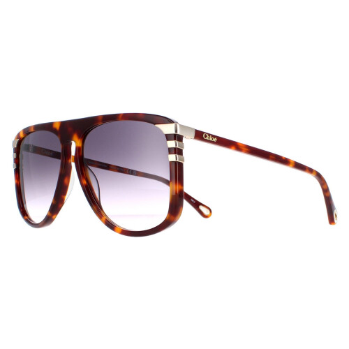 Chloe Chloe Sunglasses CH0104S 007 Shiny Medium Havana  Grey Gradient 1