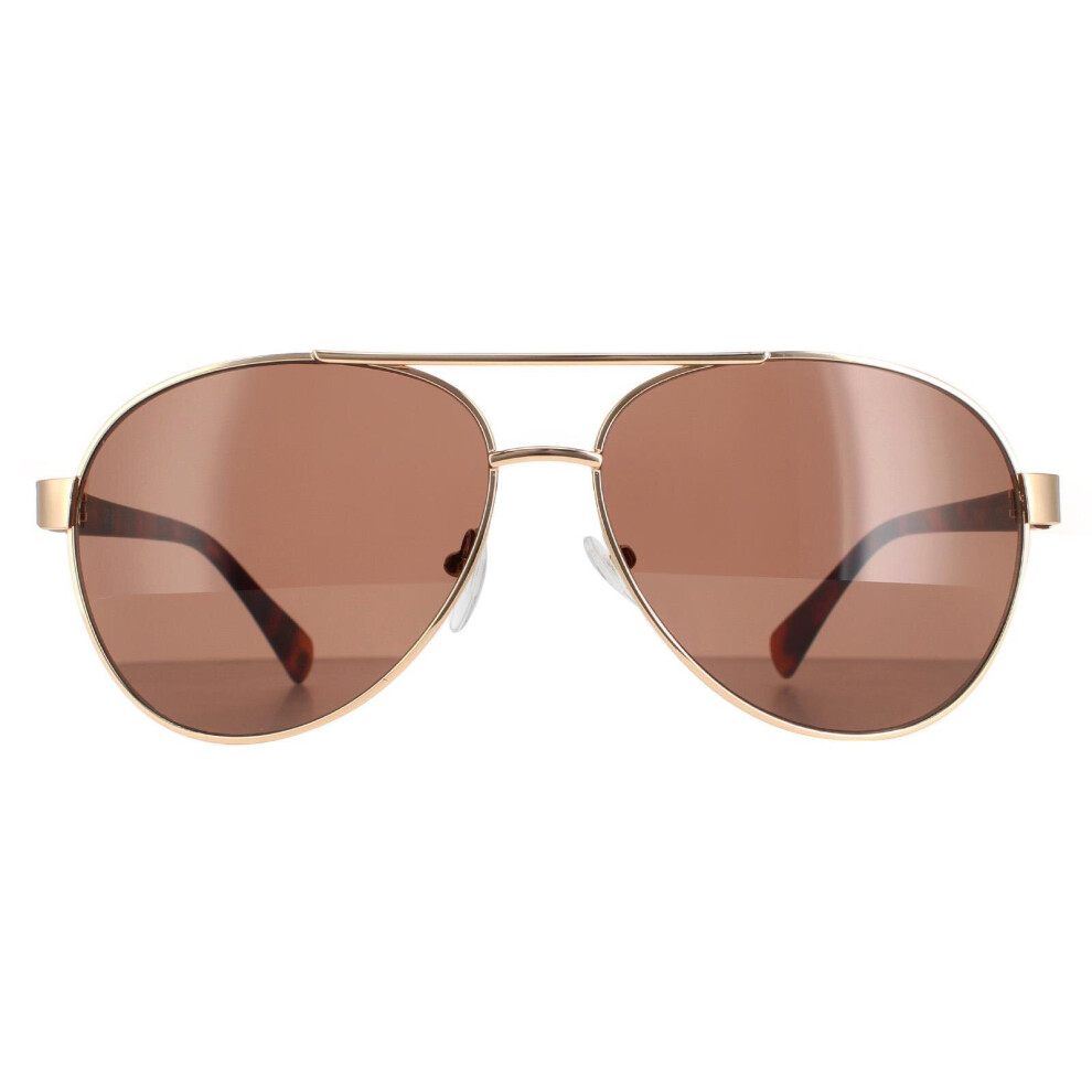 Calvin Klein Sunglasses Ck19316s 717 Gold Brown