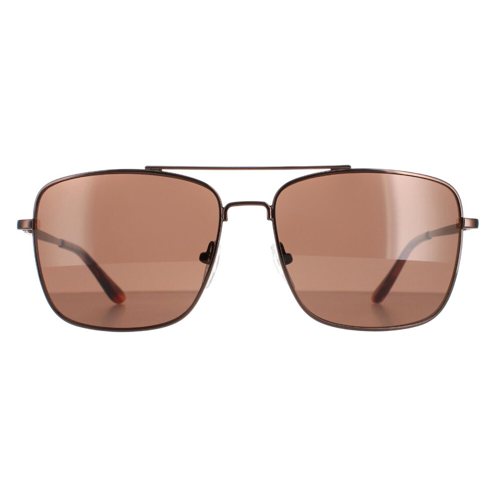 Calvin Klein Sunglasses CK19136S 200 Brown Brown