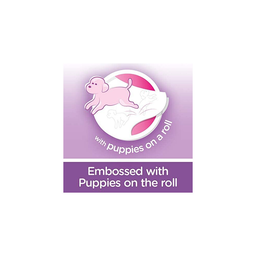 Andrex Gentle Clean Toilet Rolls 45 Toilet Roll Pack Bulk Buy