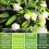 (White, 38cm) Best Artificial Tulip Topiary Ball 7