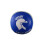 Unisexs Ricochet Training Ball Blue 5 3