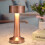 (Silvery) Desk Lamp Led Cordless Touch Sensor Table Lamp Rechargeable Dimmable 4
