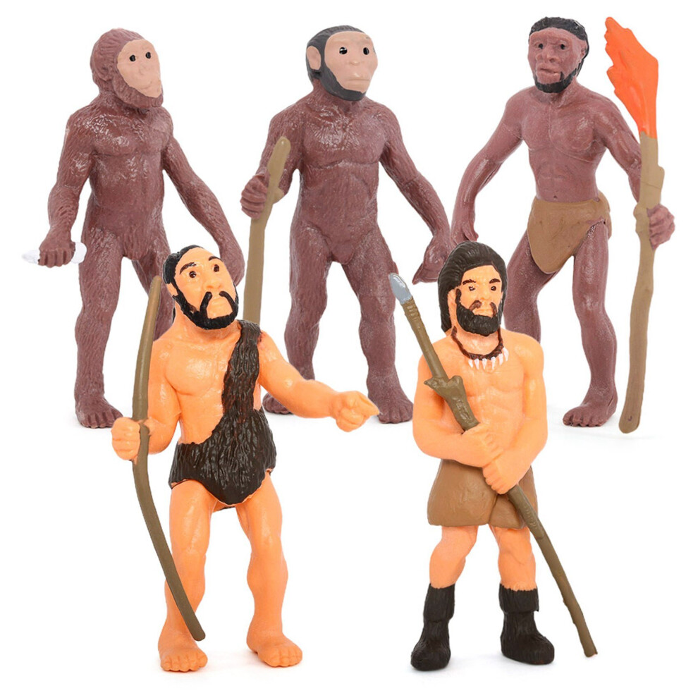 Tlily Simulation Human Evolution Models Primitive Figurine Growth Cycle Human Action Figures Educational Toys For Children