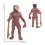 Simulation Human Evolution Models Primitive Figurine Growth Cycle Human Action Figures Educational Toys for Children 7