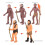Simulation Human Evolution Models Primitive Figurine Growth Cycle Human Action Figures Educational Toys for Children 2