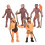 Simulation Human Evolution Models Primitive Figurine Growth Cycle Human Action Figures Educational Toys for Children 3