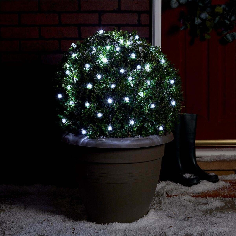 5m Indoor & Outdoor Battery Clear Berry Fairy Lights, Green Cable