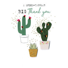 A Spike-Tacular Big Thank You Irresistible Greeting Card Embellished Cards