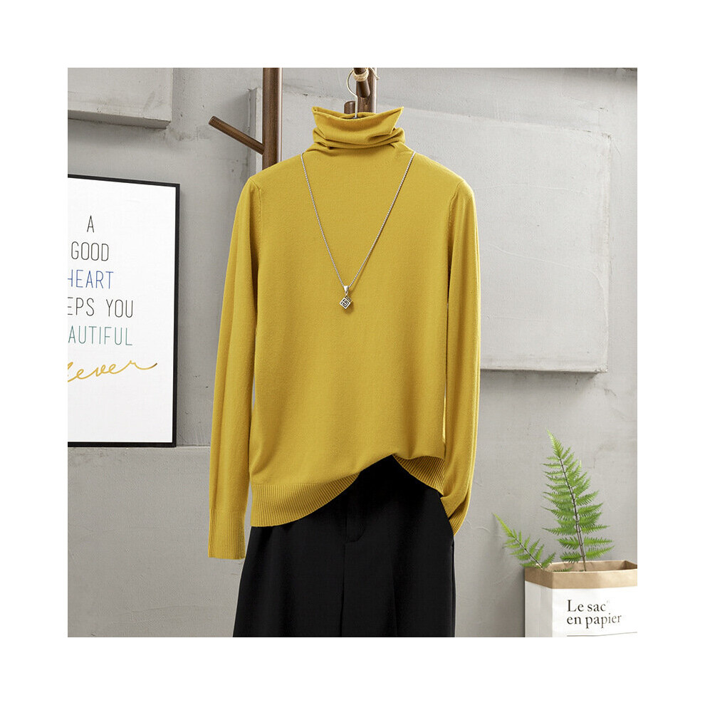 Autumn Winter Basic Women Turtleneck Sweater Knitted long Sleeve Sweater For women Female Jumpers Top-image-OPC-PBQHKGK-NEW