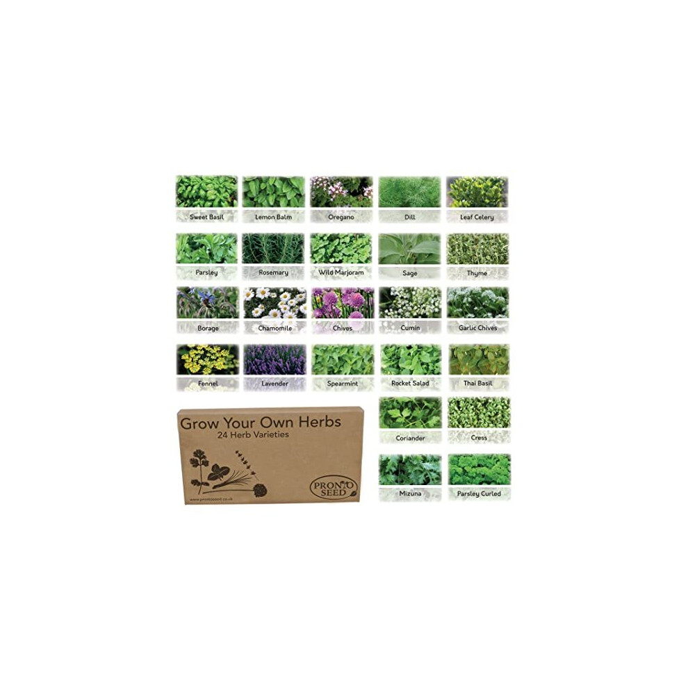 Herb Seeds Grow Your Own Kit Gardening Gift for Women and Men Bumper Pack (24 Herb Varieties)