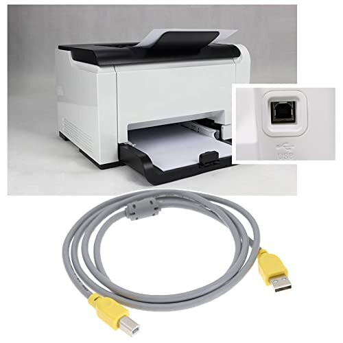 Aazon.co: The Lord Of The Tools USB A To USB B Cable Replaceent USB