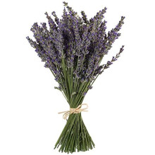 TooGet Natural Lavender Bundles, Freshly Harvested 100+ Stems Dried Lavender Bunch 16" - 18" Long, Decorative Flowers Bouquet for Home Decor, Crafts,