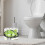 Cusheen Splesh Soft & Quilted Toilet Roll Aloe Vera, 60 Rolls 9