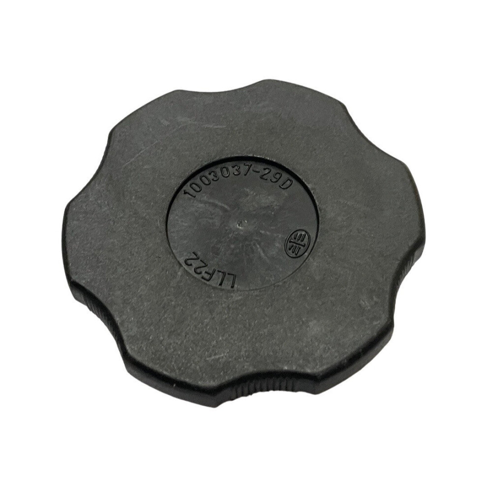 1039028-Genuine Replacement Oil Filter Cap