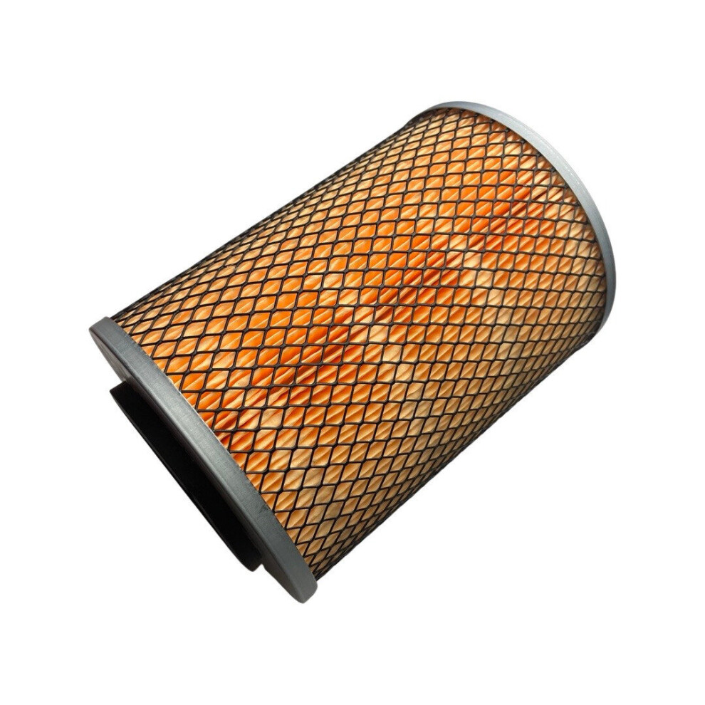 1028290-Genuine Replacement Air Filter