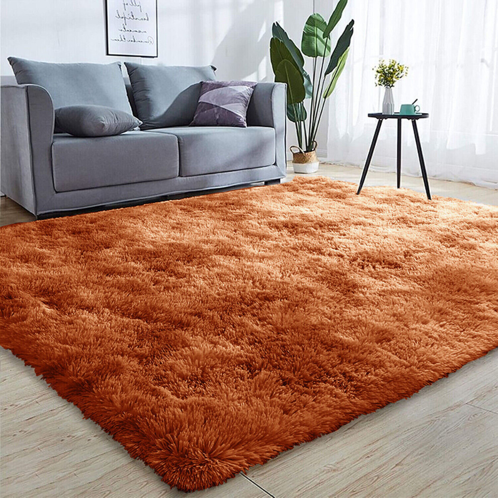 (80cm x 150cm (2ft 8" x 5ft)) Fluffy Shaggy Rugs Living Room Runner Carpet Mat