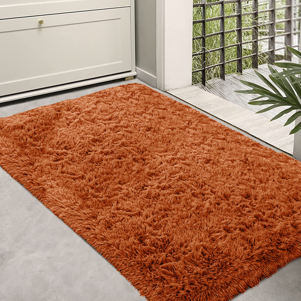 (60cm x 110cm (2ft x 3ft 7")) Fluffy Shaggy Rugs Living Room Runner Carpet Mat