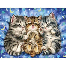 DIY Art Cross Stitch Kits Needlecrafts Patterns Counted Embroidery Kit - Three Little Cat (Stamped 11CT) 40*50CM