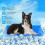 90 * 50cm Dog Cool Mat Large Size, Pet Self Cooling Mat 4