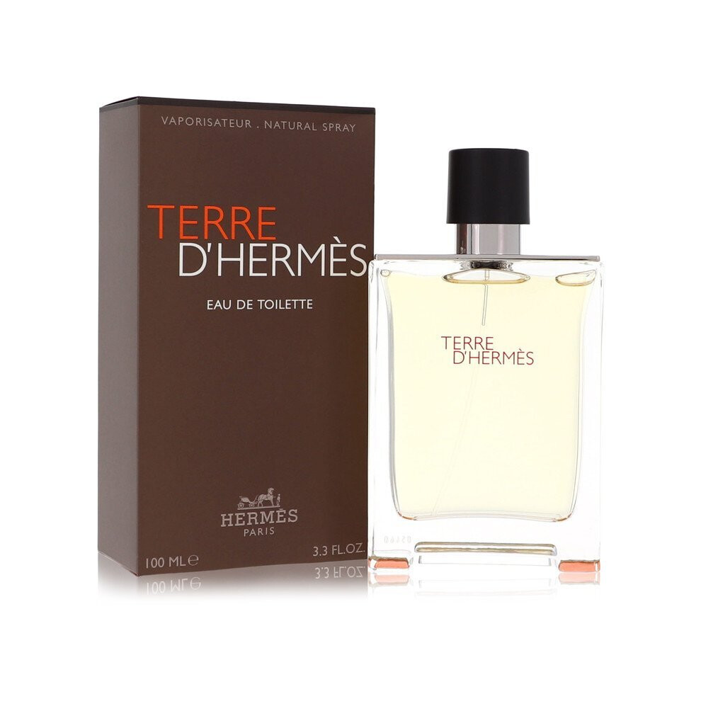 Hermes Hermès Terre D'hermès Eau De Toilette 100Ml
