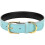 Basic Classic Padded Leather Pet Collars For Cats Puppy Small Medium Dogs 2