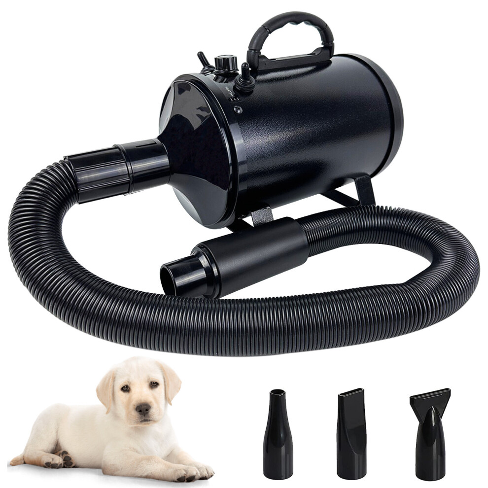 2800W Dog Pet Hair Dryer Low Noise Stepless Speed Blower Grooming Adjustable Temperature 2.5M Flexible Hose with 3 Different Nozzles Car Hairdryer