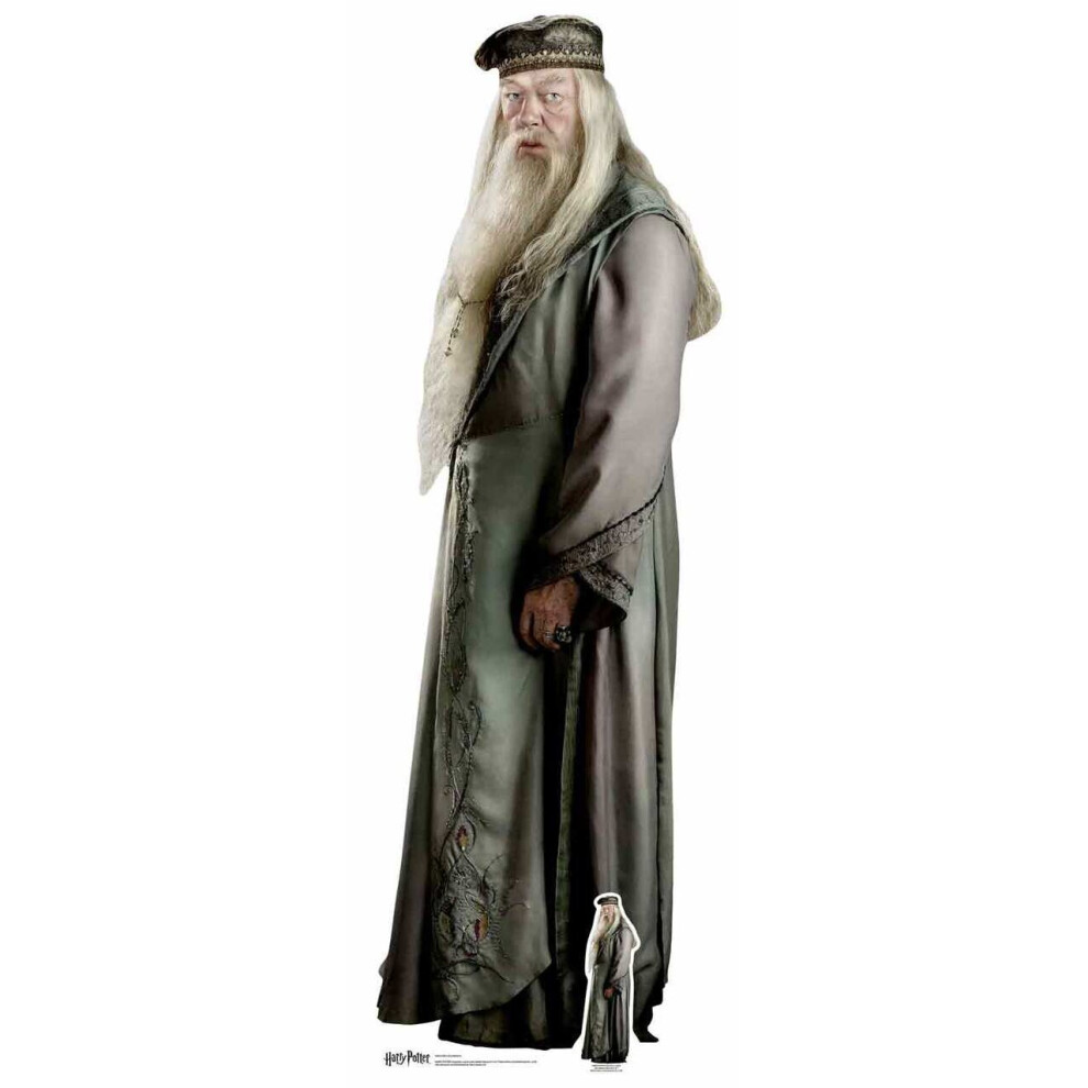 Professor Albus Dumbledore from Harry Potter Lifesize Cardboard Cutout