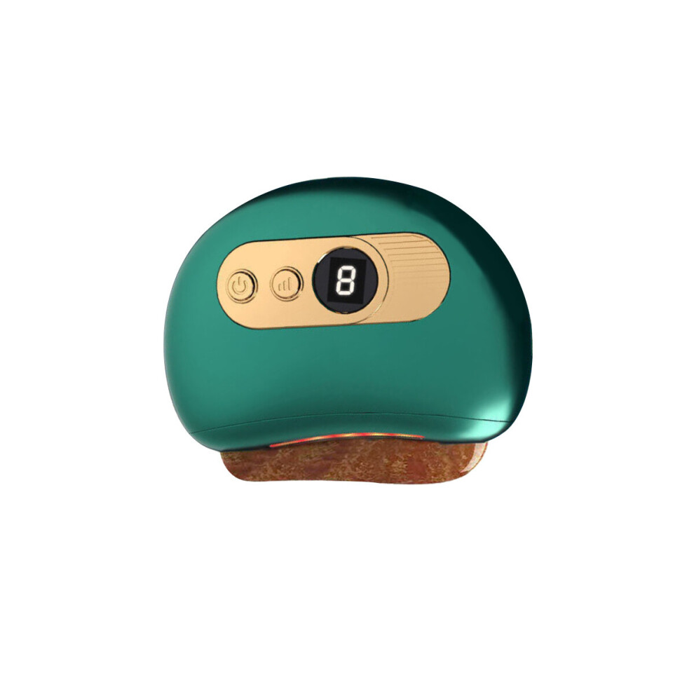 Dechoicelife (A-Set4) Heating Vibration Face Massager Neck Massage Instrument Face Lifting Machine Guasha Massage Tools