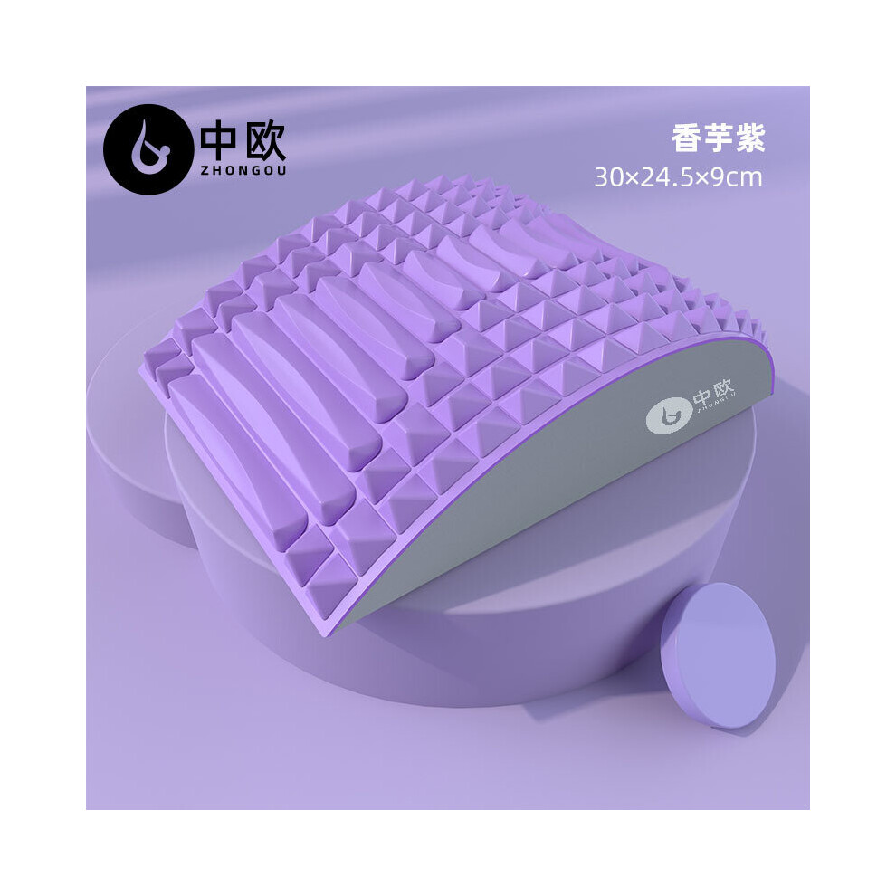 Dechoicelife (A-Violet) Back Stretcher Lumbar Support Back Pain Relief Herniated Disc Sciatica Nerve Spinal Stenosis Posture Corrector Pillow Cushion