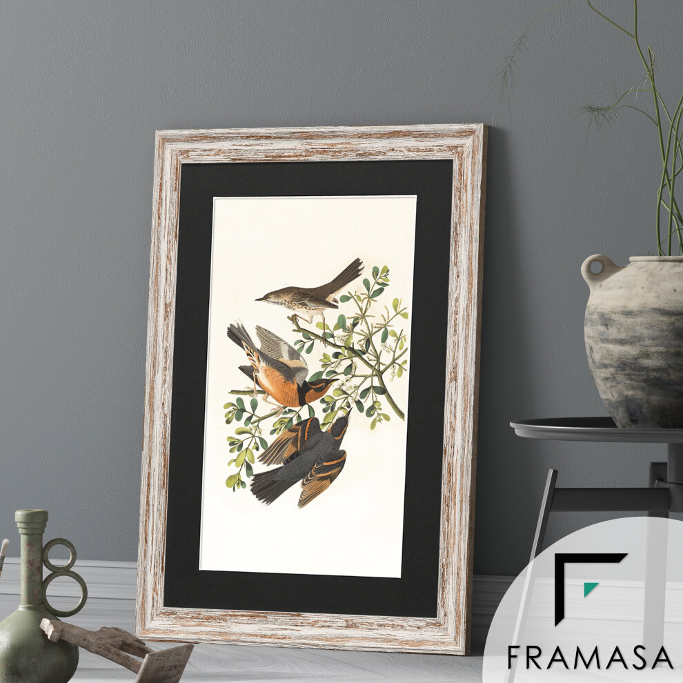 (Walnut Frame Black Mount, 30x16 Pic (34x20 Frame)) Vintage Distressed Walnut Photo Frames Shabby Wood Effect Picture Frames With Multicolored Mounts-image-OPC-P78ZBMD-NEW