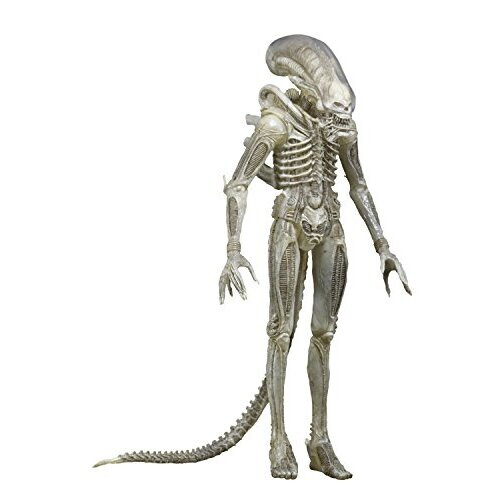 NECA NECA Aliens Series 7 Concept 79 Action Figure (7" Scale)