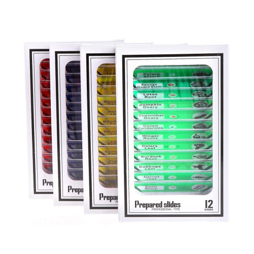 Experiment Specimens Microscope Fine Sample Animals Insect Plan Prepared Slides