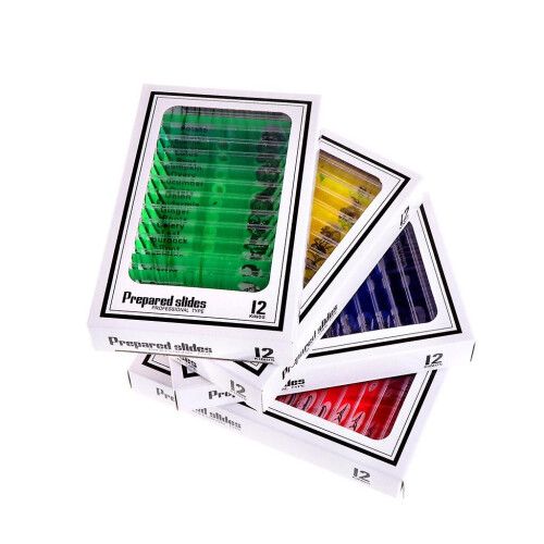 Experiment Specimens Microscope Fine Sample Animals Insect Plan Prepared Slides 1