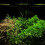 Full Tube Yellow Light Folding LED Panel Plant Lamp 5