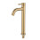Brush Gold Single Cold Basin Faucet 304 Material Basin Mixer-a 3