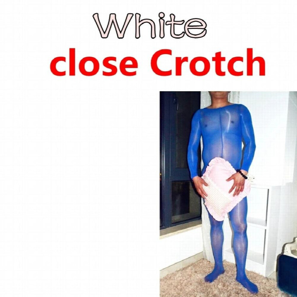 Multicoloured Sexy Men Bodysuit Silky Temptation Full Body Plus Size Men Exotic Body Stocking Sexy Costumes Body Stocking Men Men Pantyhose