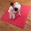 Martial Arts Mats 20mm Thick Karate/Judo Gym 2